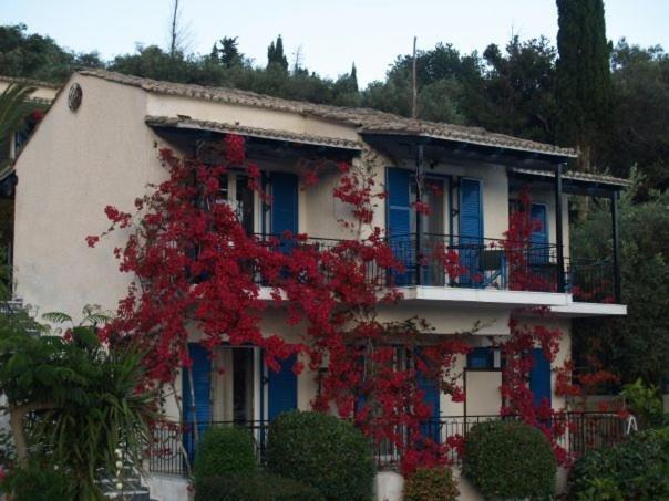 Villa Fiorita パレオカストリッツア エクステリア 写真