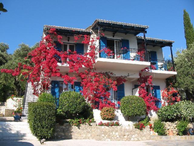 Villa Fiorita パレオカストリッツア エクステリア 写真