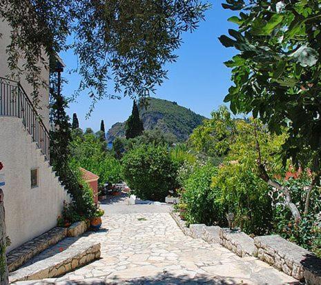 Villa Fiorita パレオカストリッツア エクステリア 写真